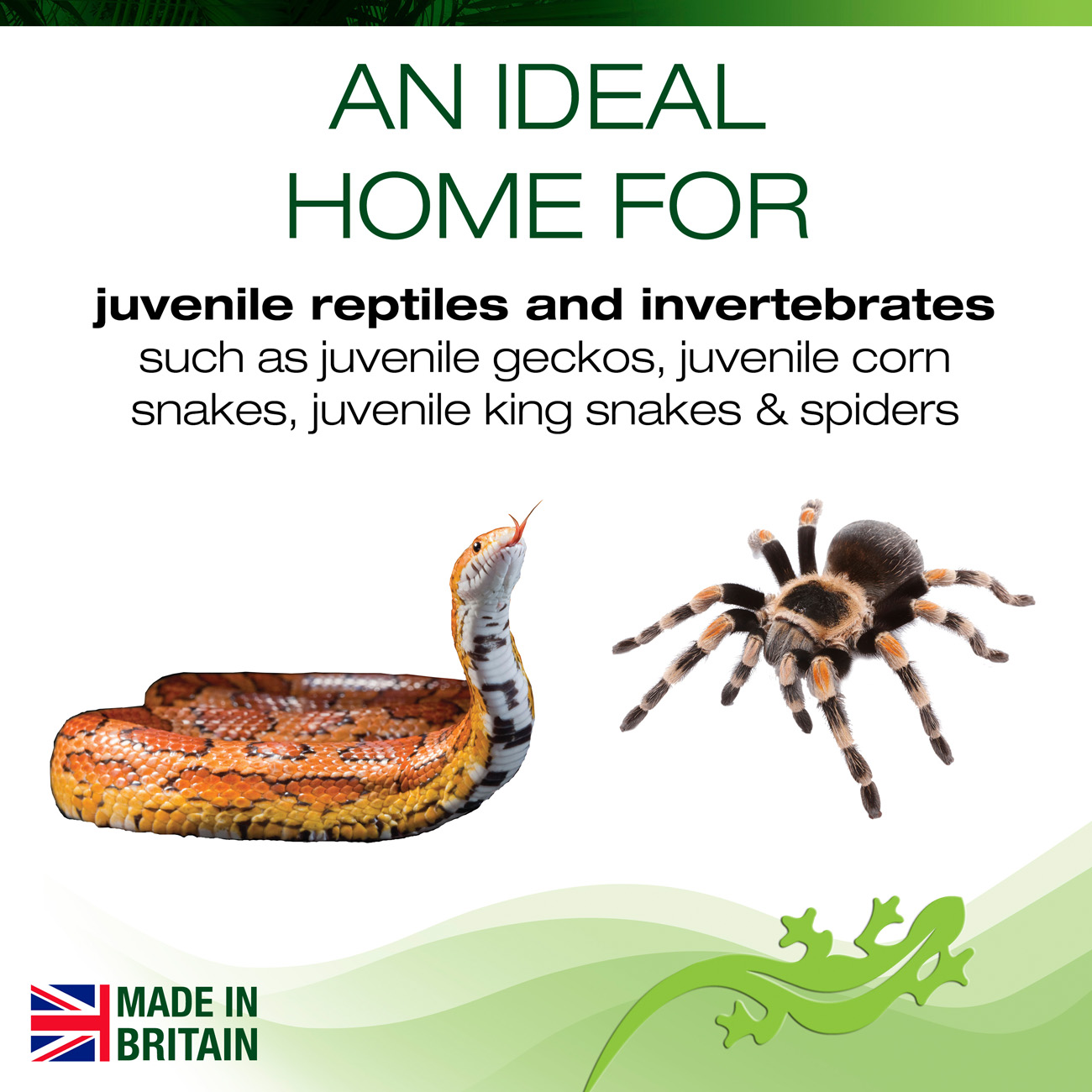 Repti-View Home Small Vivarium - Image 6