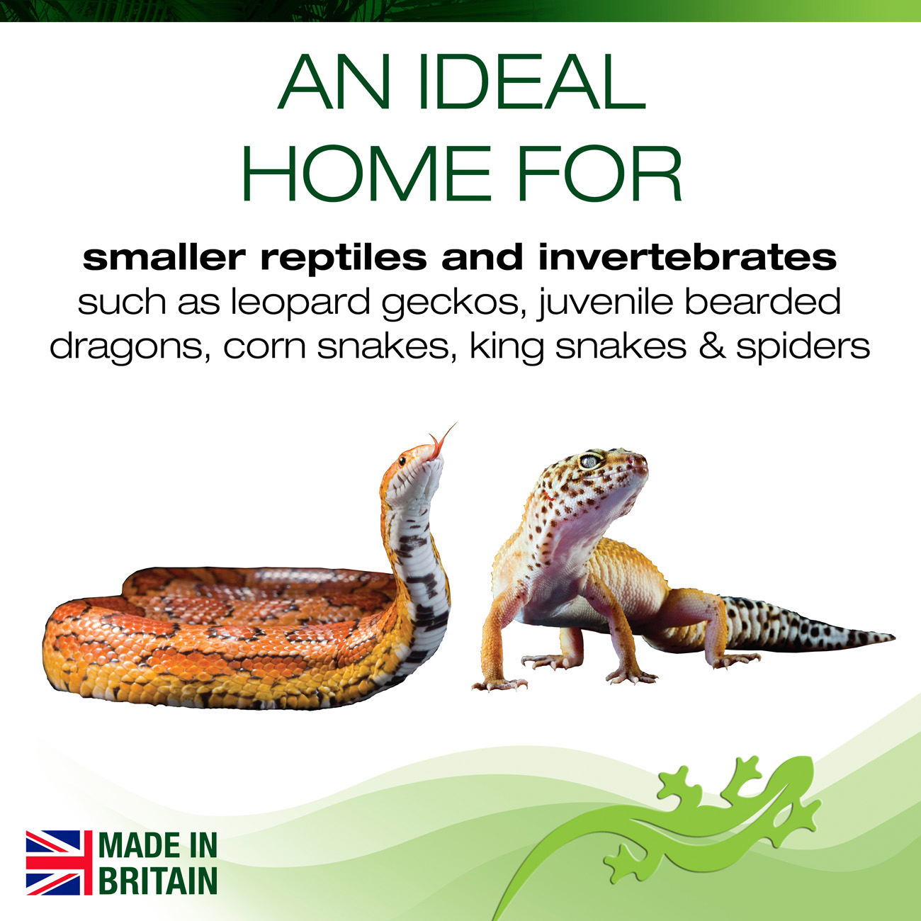 Repti-View Home Medium Vivarium - Image 6