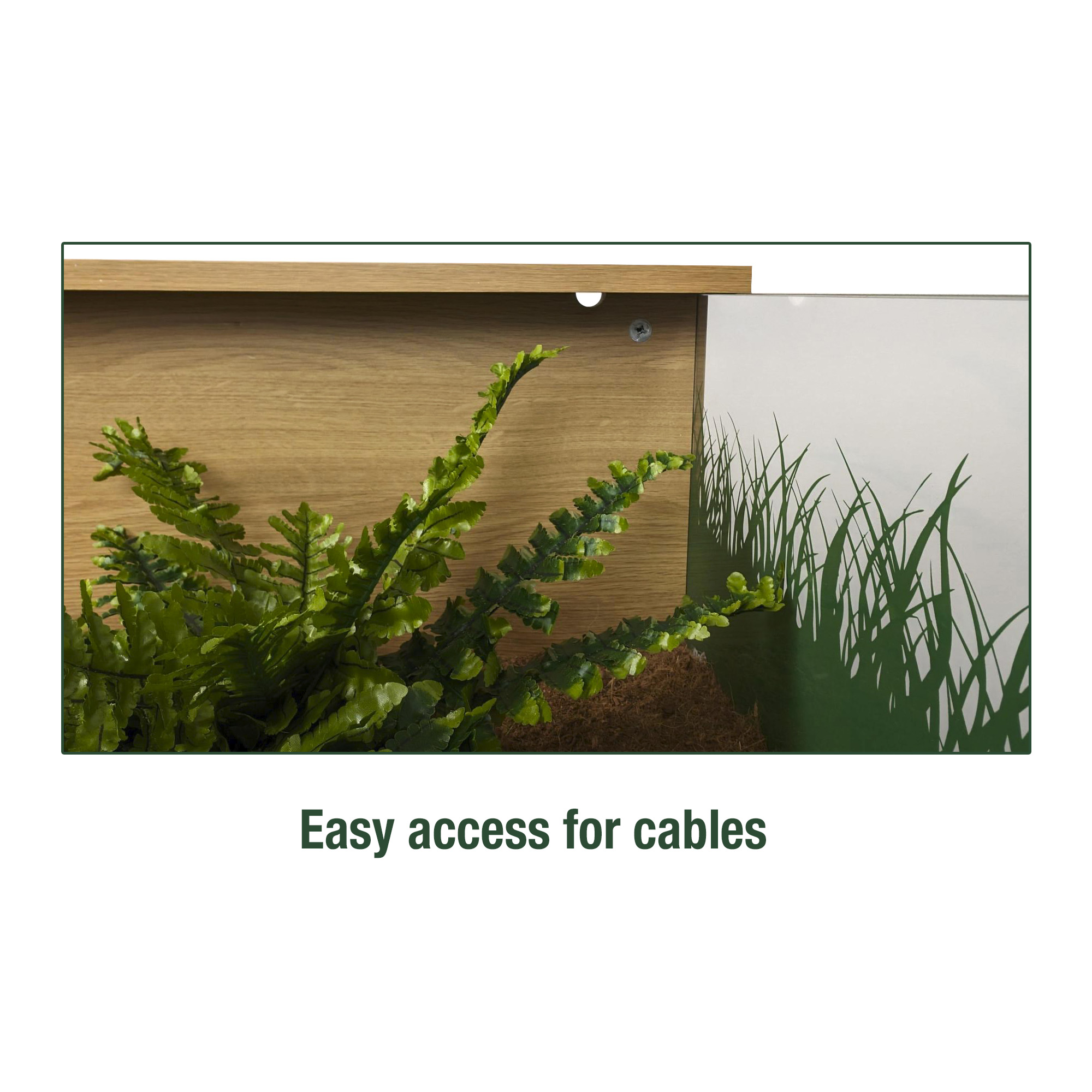 Deluxe Tortoise Table - Image 7