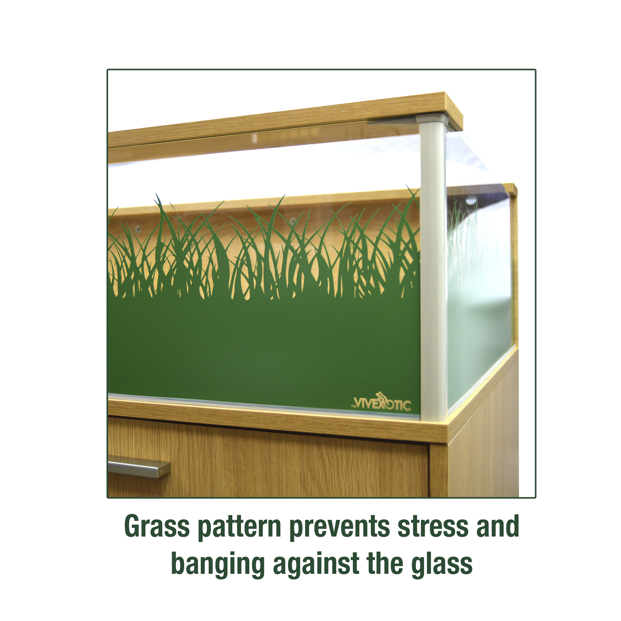 Deluxe Tortoise Table - Image 8