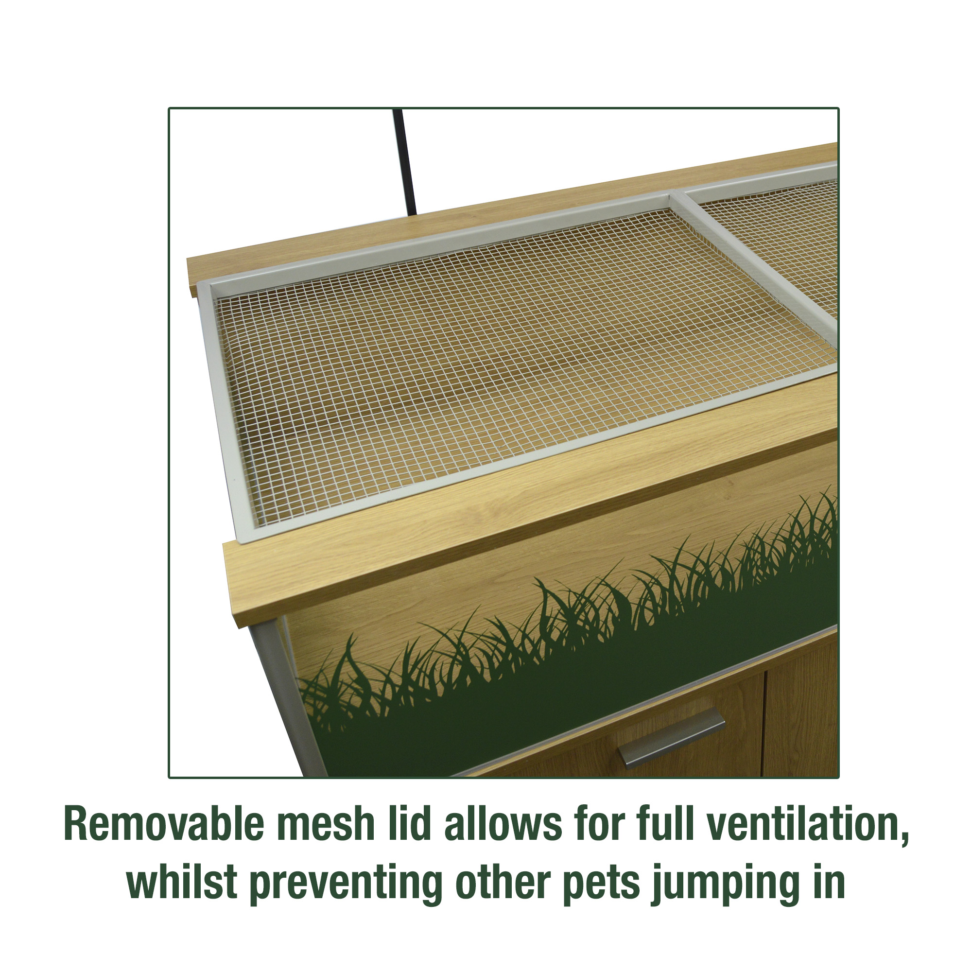 Deluxe Tortoise Table - Image 5