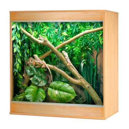 Repti-Home Arboreal Vivarium - Medium