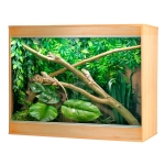 Repti-Home Arboreal Vivarium - Large Deep
