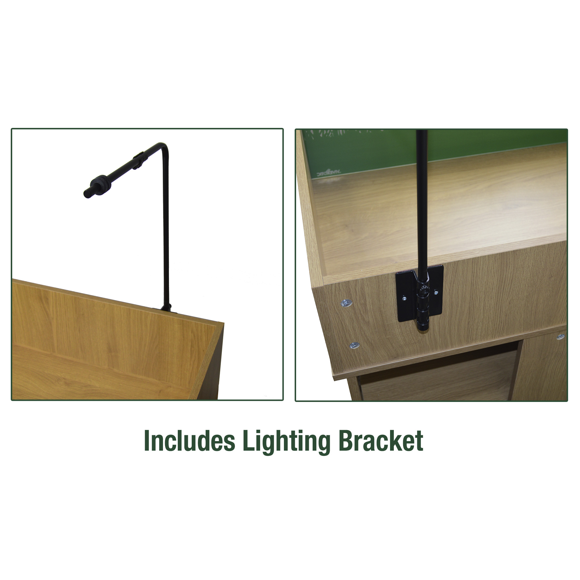 Vivexotic Tortoise Table - Image 9