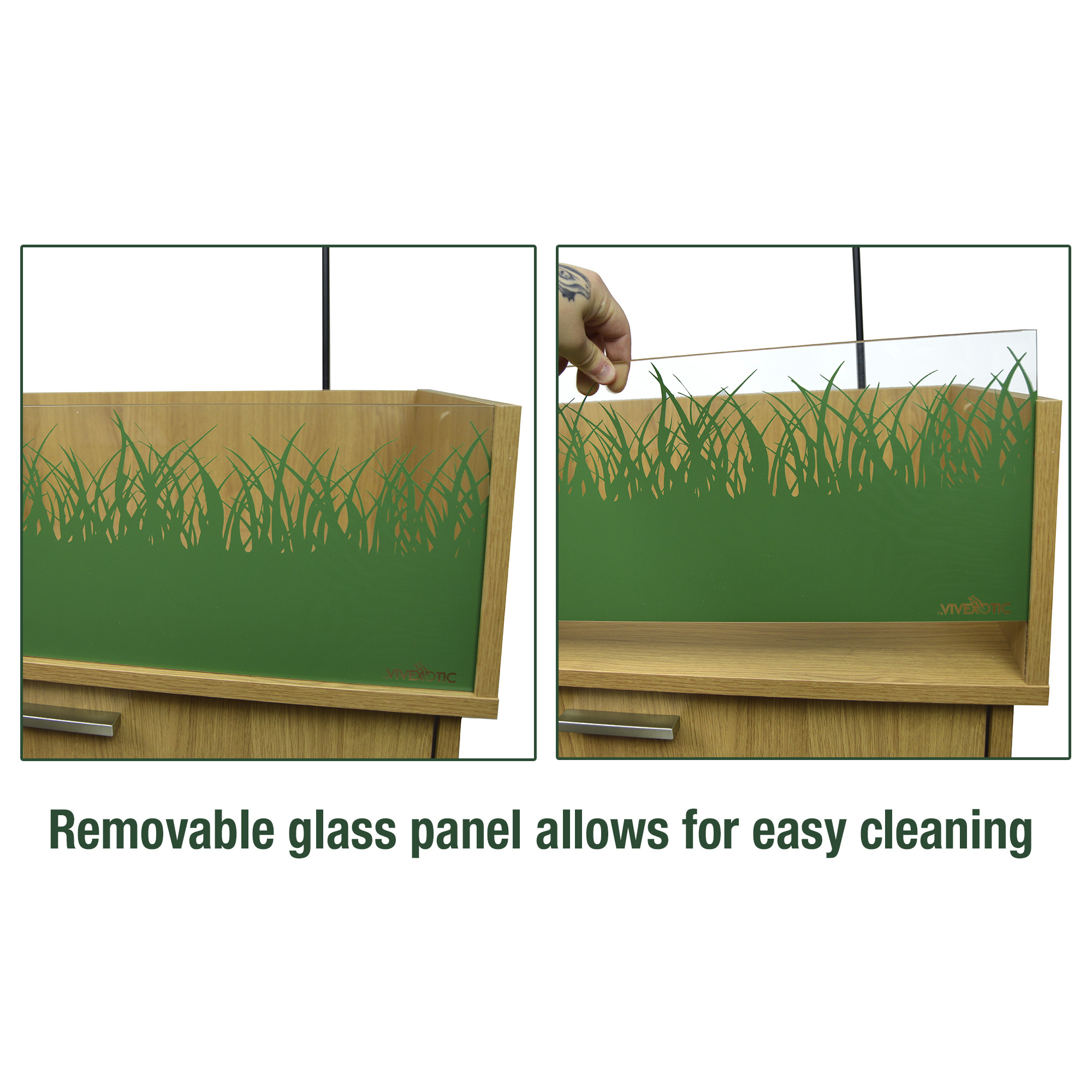 Vivexotic Tortoise Table - Image 10