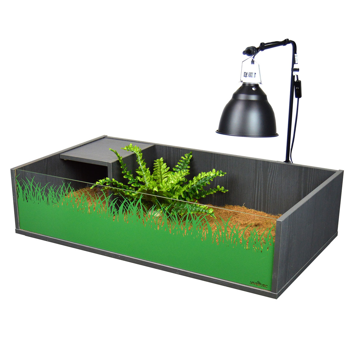 Vivexotic Tortoise Table - Image 5