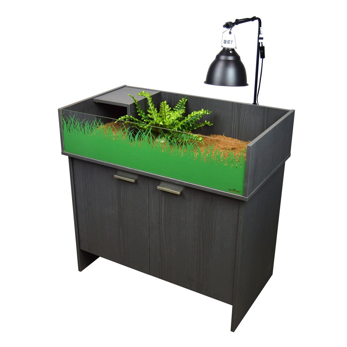 Vivexotic Tortoise Table - Image 13